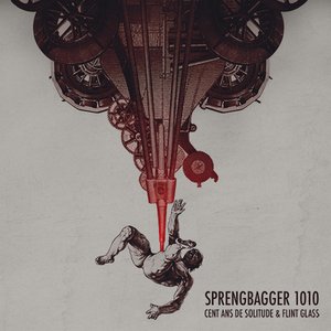 Sprengbagger1010