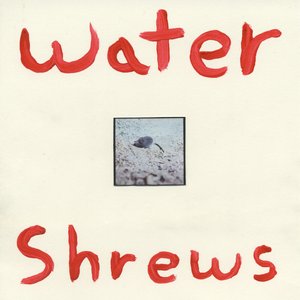 Water Shrews