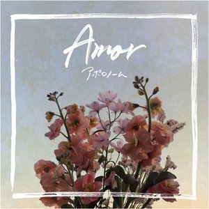 Amor