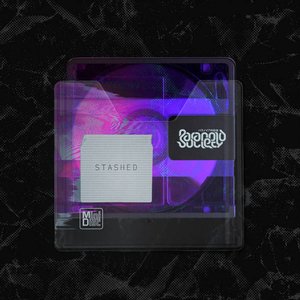 Stashed Vol.2