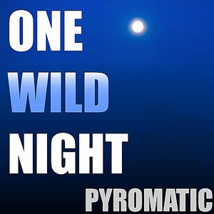 One Wild Night - Single