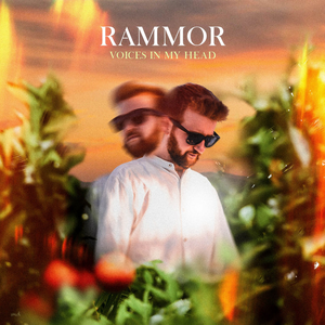 Artwork for Voices In My Head