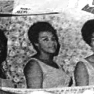 The Gaylettes photo provided by Last.fm