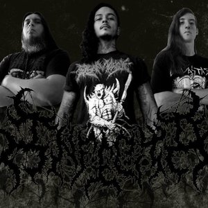 Avatar for Infecto