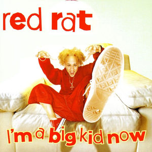 I'm a Big Kid Now cover