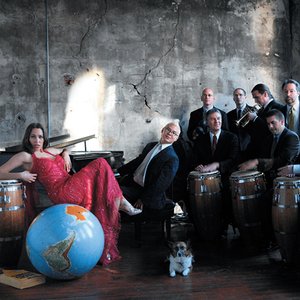 Awatar dla Pink Martini