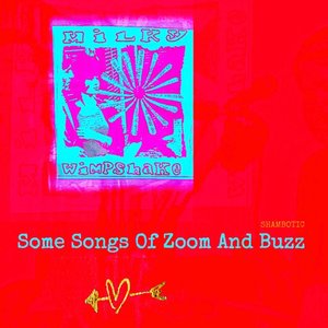 Some Songs Of Zoom And Buzz