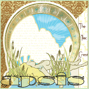 The Iliac Crest