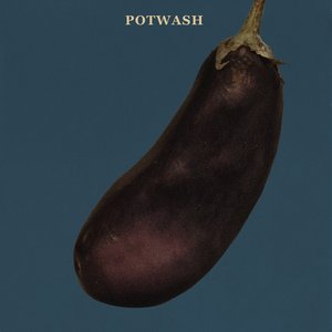 Potwash