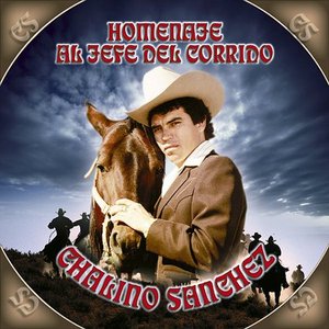 Homenaje Al Jefe Del Corrido