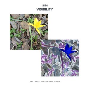 Visibility