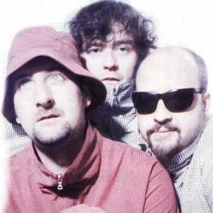 The Shirehorses photo provided by Last.fm