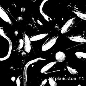 Planckton EP #1