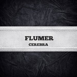 Cerebra