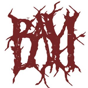 Bayi 的头像