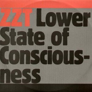 'Lower State of Consciousness'の画像