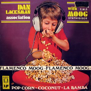 Flamenco Moog