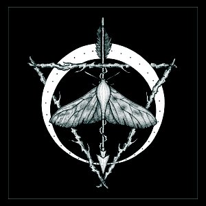 Fail To Decay