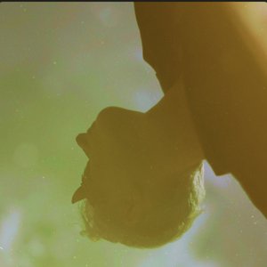 TILT [Explicit]