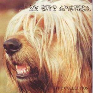 We Bite America - The Collection