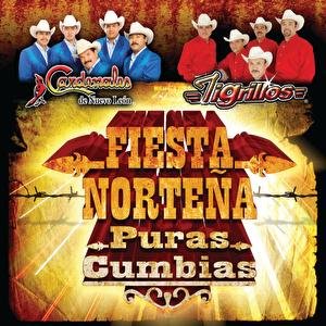 Fiesta Norteña Puras Cumbias