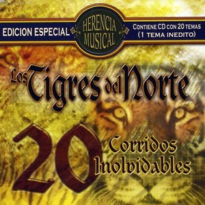 Image for '20 Corridos Inolvidables'