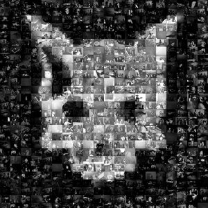 Avatar for Far Off The Zoo