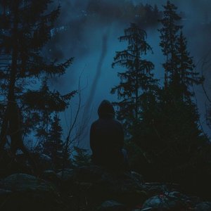 nøsta 的头像