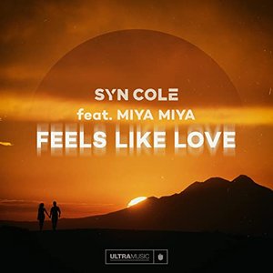 syn cole - Feels Like Love - Zortam Music