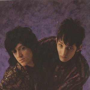 Nikki Sudden & Rowland S. Howard için avatar