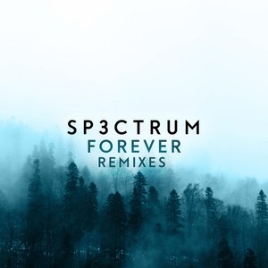 Forever - The Remixes