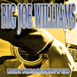 Baby Please Don't Go