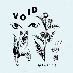 Void