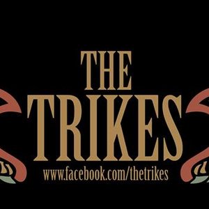 The Trikes 的头像