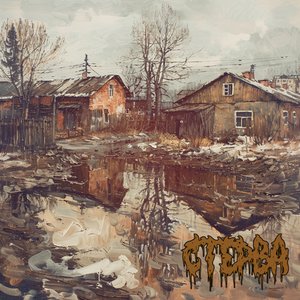 Стерва