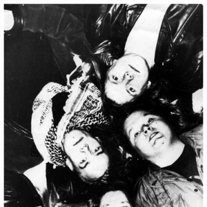 Dun-Delion photo provided by Last.fm