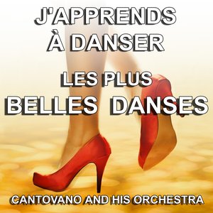 J'apprends à danser les plus belles danses de salon (Les plus grandes danses sociales)