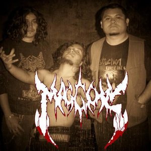 Maggots 的头像