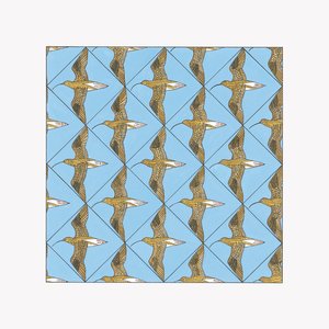 Simmerdim: Curlew Sounds