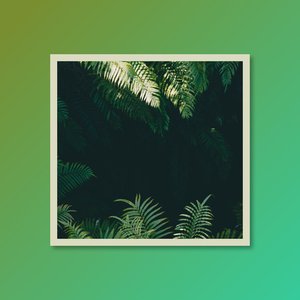 Kalimba Jungle