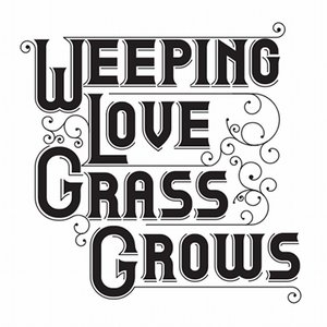 Weeping Love Grass Grows