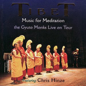 Bild für 'Tibet, The Gyuto Monks Live On Tour'