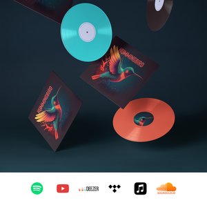 Black Decibel 的头像