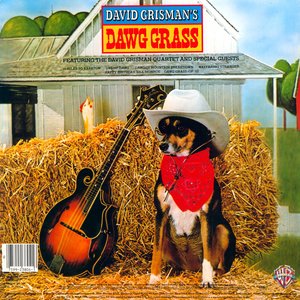 Dawg Grass
