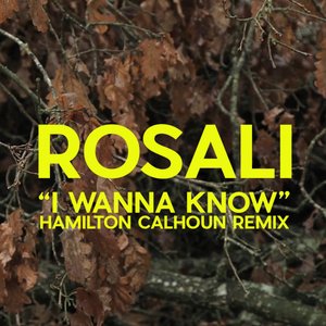 I Wanna Know (Hamilton Calhoun Remix)