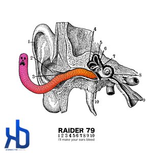 I'll Make Your Ears Bleed - Part 2
