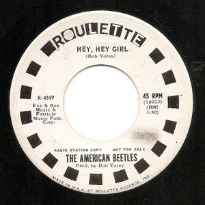 Image for 'The American Beetles'