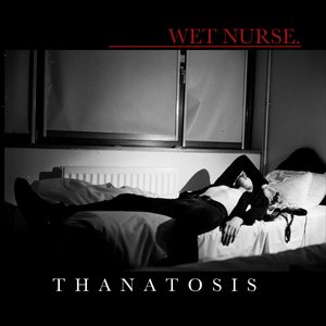 Thanatosis