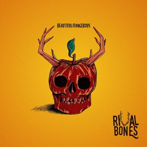 Beautiful/Dangerous