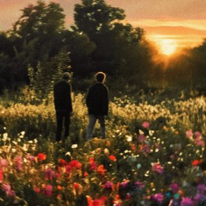 La Nuit des Anémones